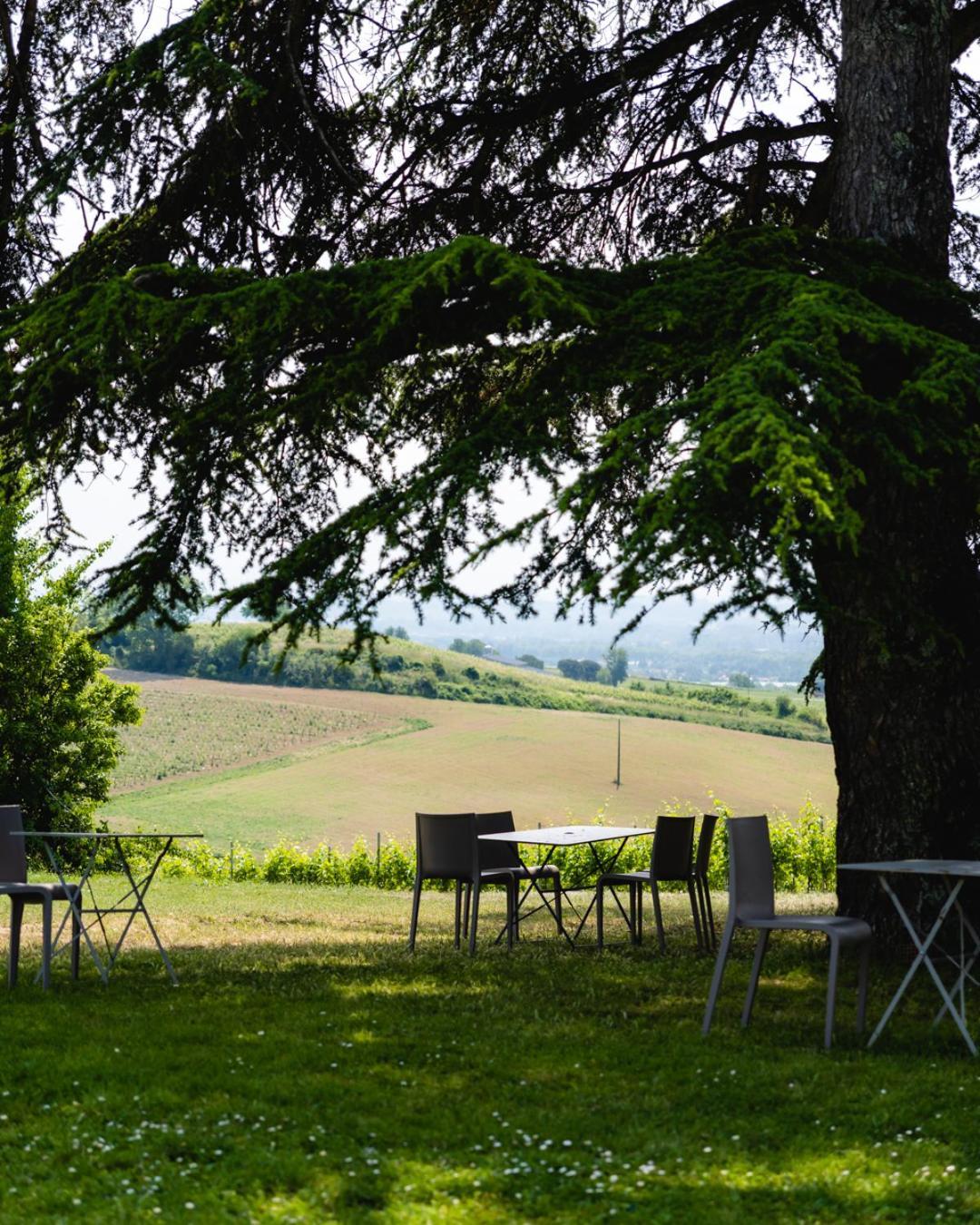 Chateau De Tauzies, The Originals Relais Gaillac Esterno foto
