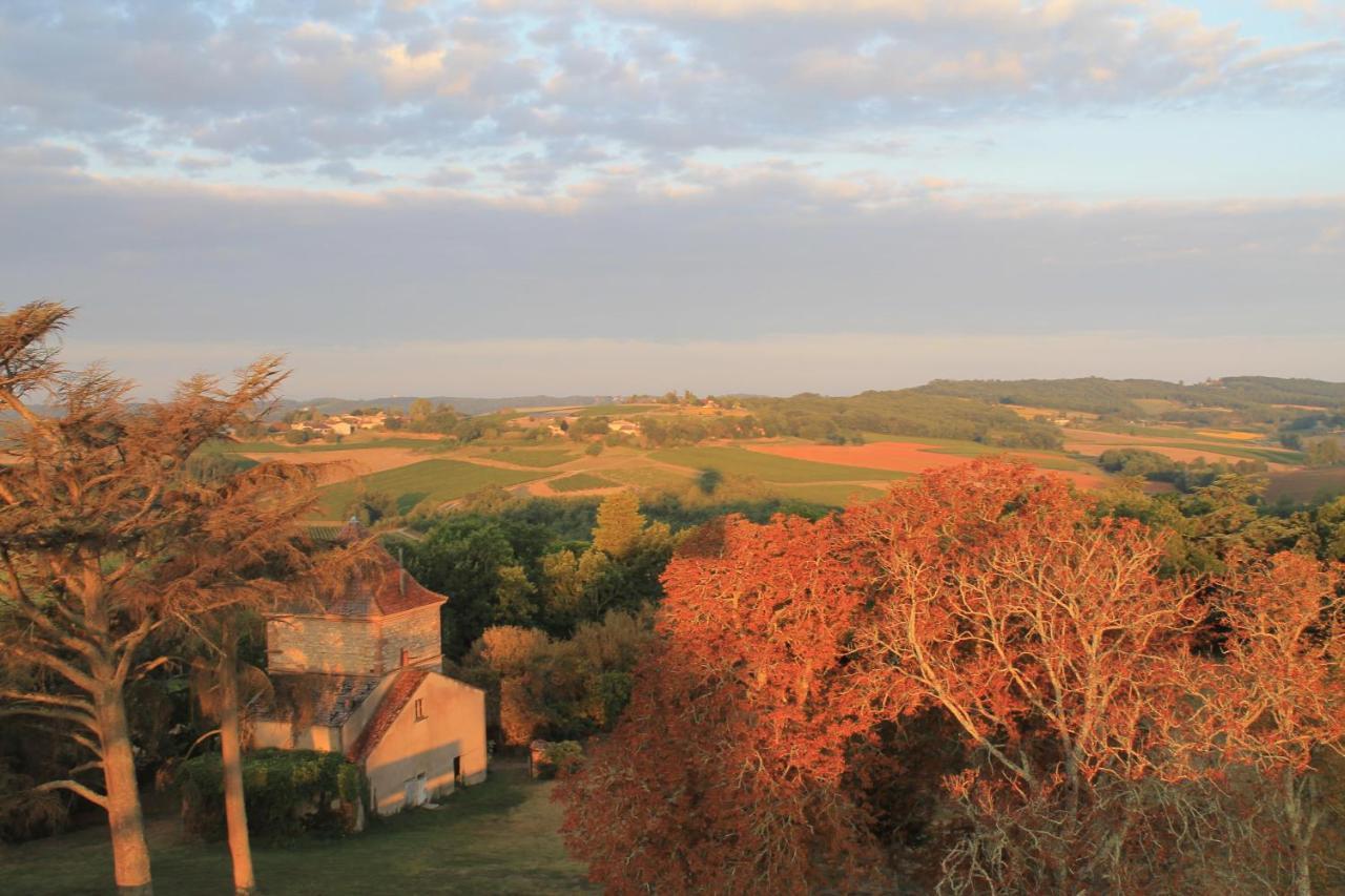 Chateau De Tauzies, The Originals Relais Gaillac Esterno foto